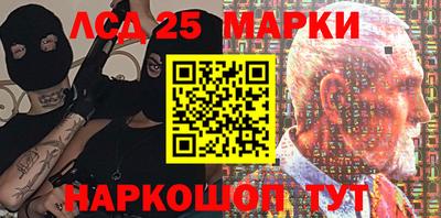 гидропоника Можга