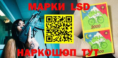 гидропоника Можга