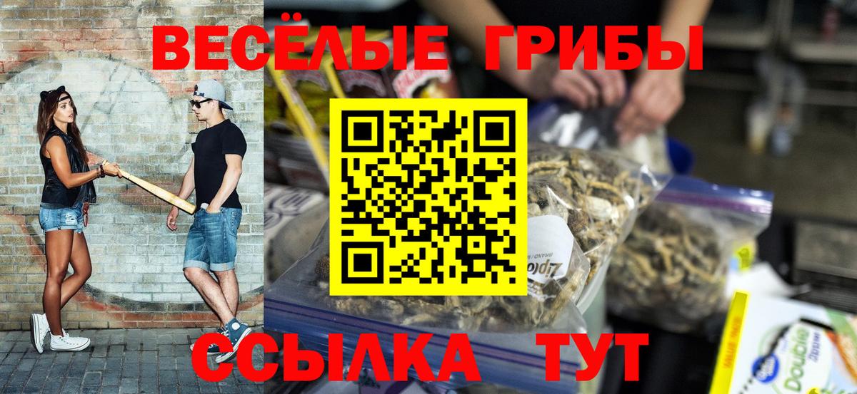 Псилоцибиновые грибы Psilocybine cubensis  Вход с VPN  Гулькевичи  Галлюциногенные грибы прущие грибы 